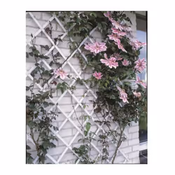 Treillis extensible en plastique - S'adapte en largeur - Idéal pour la décoration d'un mur ou le palissage de plantes grimpan ...