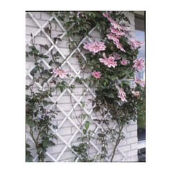 Vidaxl - Treillis extensible plastique vert - 100x200cm
