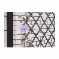 Embellissez votre extérieur avec notre treillis extensible en plastique anthracite. Idéal pour décorer un mur ou palisser des ...