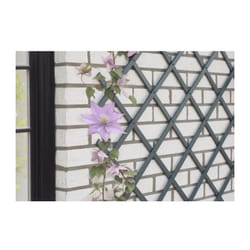 Vidaxl - Nature Treillis de jardin 50x150 cm pvc anthracite
