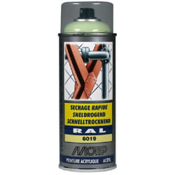 Motip - Peinture Aerosol Ral6019 Ral 400 Ml Vert blanc