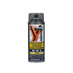 Peinture aérosol - MOTIP - RAL 6003 - Vert olive brillant - 400ml - Séchage rapide