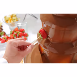Hendi 274101 fontaine à chocolat Acier inoxydable 170 W 1,5 kg - Vue supplémentaire 4