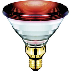 Lighting Ampoule infrarouge E27 150 w (ø x l) 121 mm x 136 mm 230 v 1 pc(s) - Philips