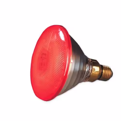 Ampoule économique à infrarouge - 175 watts