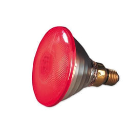 Ampoule économique à infrarouge - 175 watts