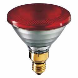 Philips PAR38 IR 175W E27 240V Red 1CT/12