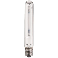 Philips MASTER SON-T PIA Plus ampoule au sodium 250 W E40 33000 lm 2000 K