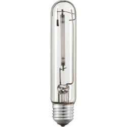 Philips MASTER SON-T PIA Plus ampoule au sodium 73 W E27 6600 lm 2000 K