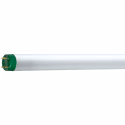 Philips MASTER TL-D Eco, 32,2 W, G13, T8, 2850 lm, Lumière du jour froide