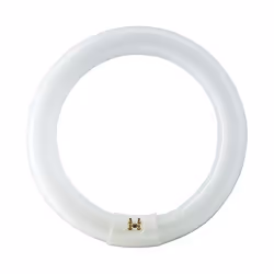 Philips TL-E 40W/840 1CT/12, 40 W, G10Q, C-T9, 3200 lm, Blanc froid