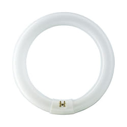 Philips TL-E 40W/840 1CT/12 ampoule fluorescente G10Q Blanc froid