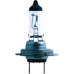 Ampoule halogène PHILIPS H7 Master Duty 24V, 70W, 1 pièce