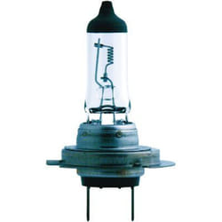 Ampoule halogène PHILIPS H7 Master Duty 24V, 70W, 1 pièce