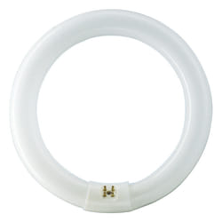 Philips TL-E Super 80 928026384074 ampoule fluorescente 32 W G10q Blanc froid
