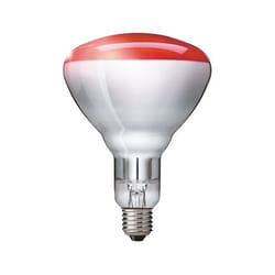Philips 923212043801 ampoule infrarouge 250 W Bulbe