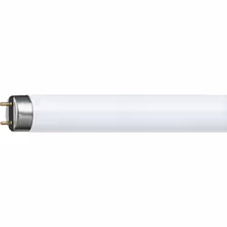 Philips MASTER TL-D Super 80, 18 W, G13, T8, 20000 h, 1300 lm, Lumière du jour froide