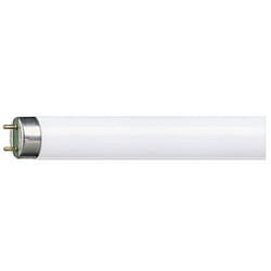 Philips TL-D Super 80 871150063201240 ampoule fluorescente 36 W G13 Blanc froid