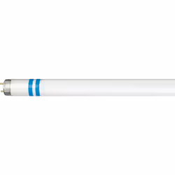 Philips MASTER TL-D Secura, 18 W, G13, T8, 1300 lm, Blanc froid