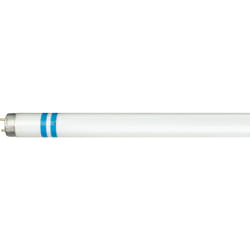 Philips MASTER TL-D Secura ampoule fluorescente 18 W G13 Blanc froid