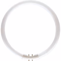 Philips MASTER TL5 Circular, 39,9 W, 2GX13, C-T5, 3300 lm, Blanc chaud