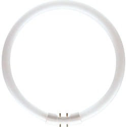 Philips MASTER TL5 Circular ampoule fluorescente 39,9 W 2GX13 Blanc chaud
