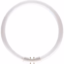 Philips Master T5 Fluorescent circulaire, 23,5 W, 2GX13, Circulaire, 12000 h, 1800 lm, Blanc froid