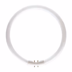 Philips MASTER TL5 Circular, 39,9 W, 2GX13, C-T5, 3300 lm, Blanc froid