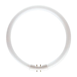 Philips MASTER TL5 Circular ampoule fluorescente 39,9 W 2GX13 Blanc froid