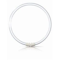 Philips Master T5 Tube fluorescent circulaire T5