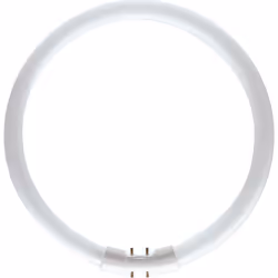 Philips MASTER LED TL5 Circular 60W/840 1CT
