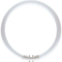 Philips MASTER LED TL5 Circular 60W/840 1CT ampoule fluorescente Blanc froid