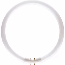 Philips Master T5 Fluorescent circulaire