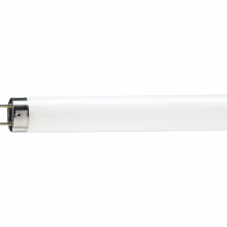 Philips MASTER TL-D Food, 58,5 W, G13, T8, 2800 lm, Blanc