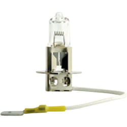 Ampoule halogène Philips 77459030 MasterDuty H3 70 w 1 pc(s) - transparent(e)