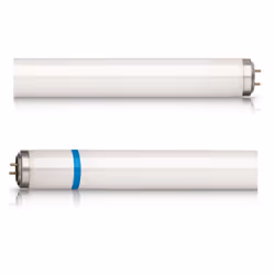 Philips Actinic BL TL-D TL-D 15W/10 Secura 1SL/25, 15 W, G13, 8000 h