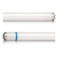 Philips Actinic BL TL-D TL-D 15W/10 Secura 1SL/25 ampoule fluorescente G13