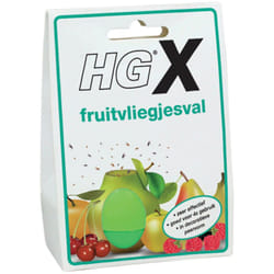 Piège à mouches des fruits HG