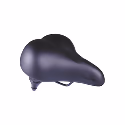Simson 5321955, Selle de vélo, Unisexe, Noir, Monochromatique, 17 cm, Chine