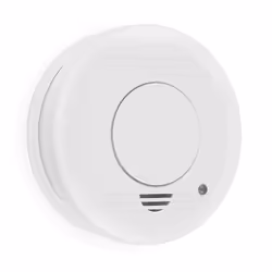 Smartwares 10.044.62 Détecteur de fumée RM250, Batterie, 9 V, Zinc-Carbone, 1 année(s), 6F22, 10 cm