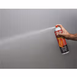 Smartwares FS600DE Extincteur pour départ de feu de 600ml