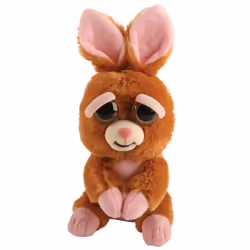 Goliath Feisty - Pets Lapin, 3 an(s)