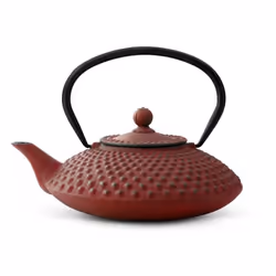 Bredemeijer Xilin, Théière simple, 1250 ml, Terre cuite, Fonte, Filtre à infuser, Acier inoxydable