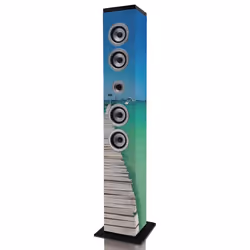Ices IBT-6, Multicolore, 40 W, Batterie, SD, 0,5 W, 150 mm