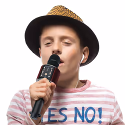 Lenco BMC-090 Noir Microphone de karaoké - Vue supplémentaire 17