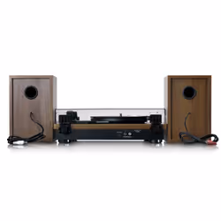 Lenco LS-100WD platine Tourne-disque entraîné par courroie Noir, Chêne Automatique