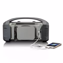 Lenco ODR-150GY Radio portable Analogique et numérique Noir, Gris