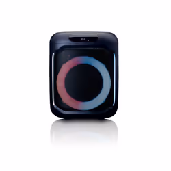 Lenco PA-100BK haut-parleur 1-voie Noir Sans fil 100 W