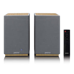 Lenco SPB-241WDGY Gris Avec fil &sans fil 40 W