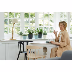 elho Brussels Round Intérieure Kit de plantation en pot Autonome Polypropylène (PP) Anthracite